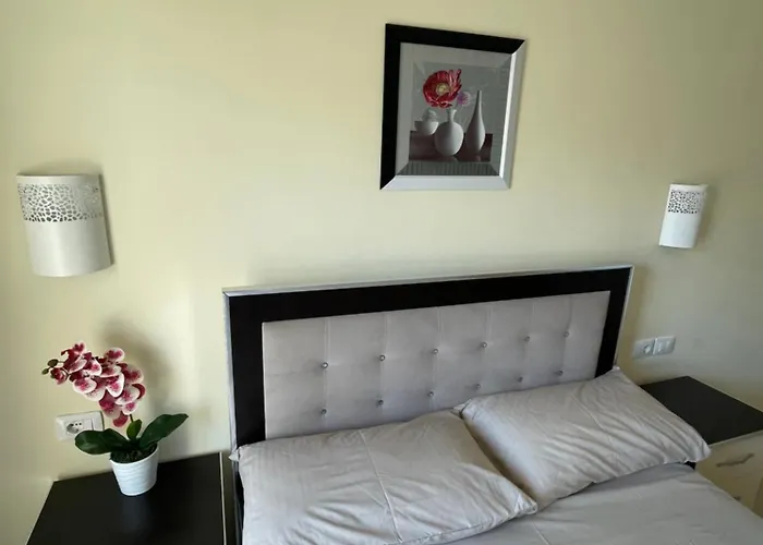 Honey Residence 招待所